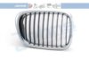 BMW 51132497262 Radiator Grille